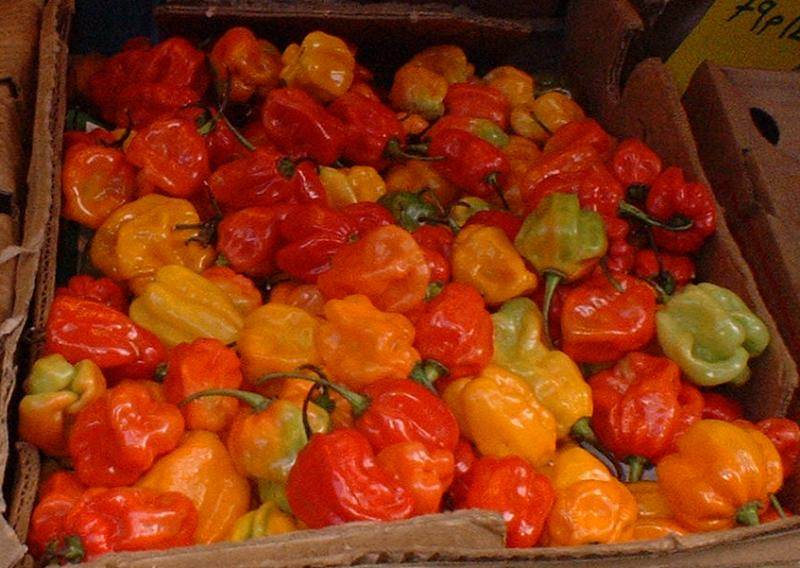 Tổng hợp các loại ớt đắt nhất thế giới hiện nay 10 hotpeppersinmarket