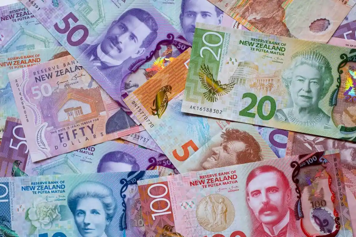 close up shot of new zealand dollars