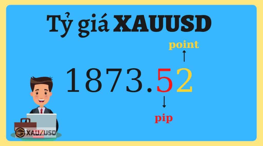 giá trị 1 pip xauusd là bao nhiêu