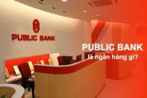 ngân hàng public bank là gì
