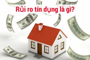 rủi ro tín dụng là gì