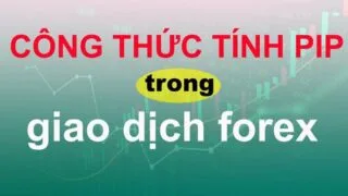 cách tính giá trị pip trong forex