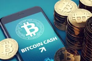 bitcoin cash la gi