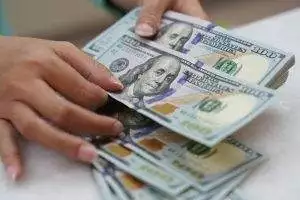 Giá ngoại tệ ngày 15/8: Đồng USD tiếp tục đà giảm