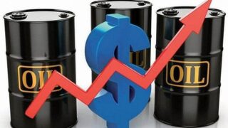 Giá xăng dầu ngày 17/8: Dầu thô lấy lại đà tăng