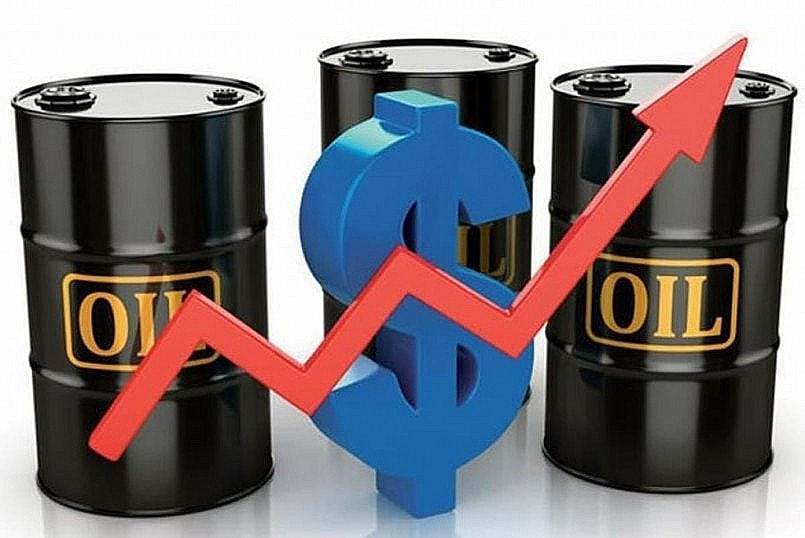 Giá xăng dầu ngày 17/8: Dầu thô lấy lại đà tăng