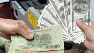 mua ban ngoai t o vinh nghe an