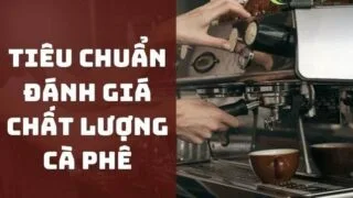 cac tieu chuan ca phe tai viet nam