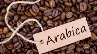 cafe arabica la gi