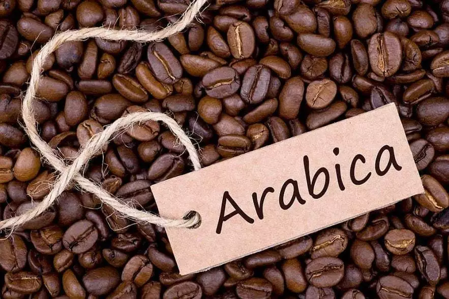 cafe arabica la gi