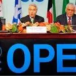 tam quan trong cua opec