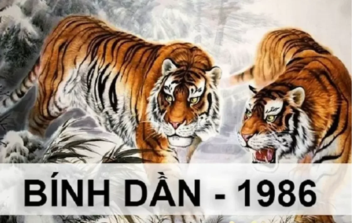 (Cập nhật) Tử vi tuổi Bính Dần 1986 năm 2026 cho nam, nữ mạng 2 hoa gian van han cho tuoi binh dan