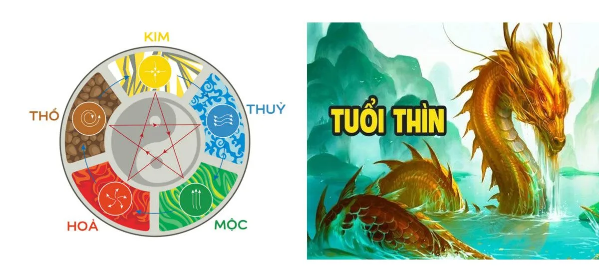 nu mau thin 1988 nen dung mau gi