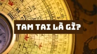 tam tai la gi