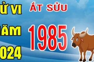 tu vi at suu 1985 nam 2024