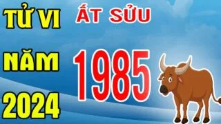 tu vi at suu 1985 nam 2024