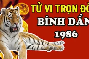 tu vi tuoi binh dan 1986 nam 2024