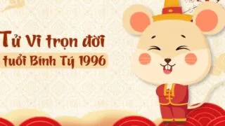tu vi tuoi binh ty nam 2024