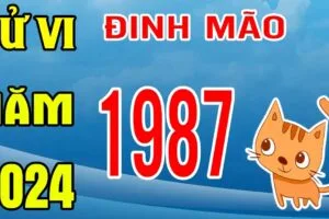 tu vi tuoi dinh mao 1987 nam 2024