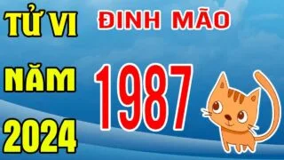 tu vi tuoi dinh mao 1987 nam 2024
