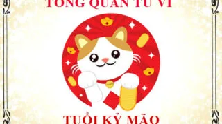 tu vi tuoi ky maoo 1999 nam 2000