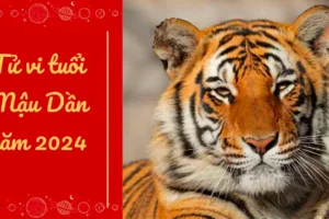 tu vi tuoi mau dan nam 202