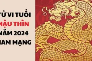 tu vi tuoi mau thin nam 2024 nam mang