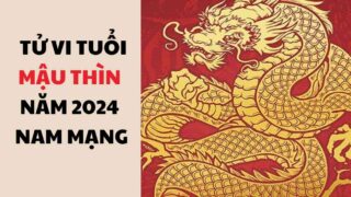 tu vi tuoi mau thin nam 2024 nam mang