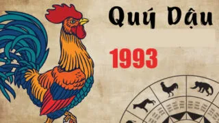 tu vi tuoi quy dau 1993 nam 2024
