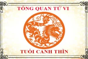 tuoi canh thin 2000