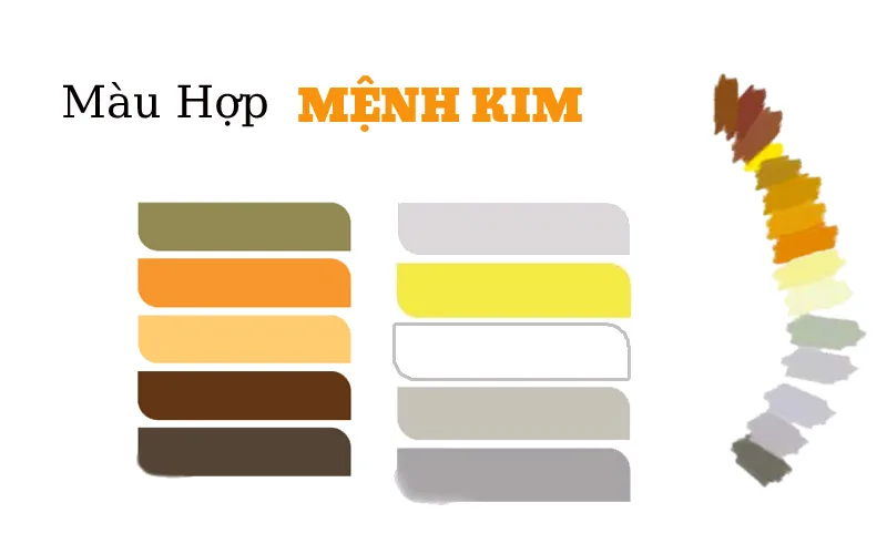 tuoi canh thin hop mau gi