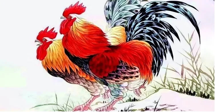 Tử vi tuổi Quý Dậu 1993 năm 2024: Một năm thành công rực rỡ 3 tuoi dau nam 2024