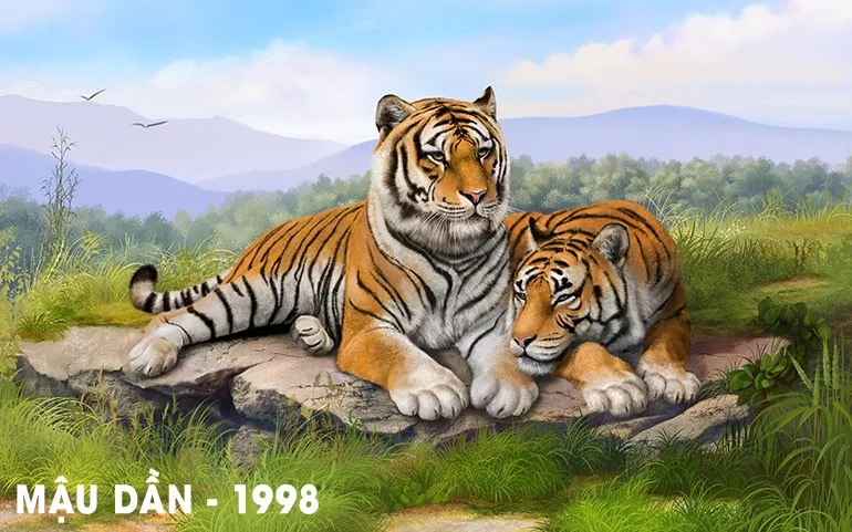van han nam 2024 cua nguoi sinh nam 1998