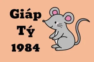 van han tuoi giap ty sinh nam 1984