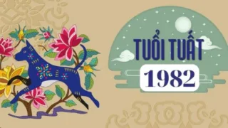 van han tuoi tuat 1982