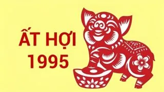 xem tu vi tuoi at hoi 1995 nam 2024