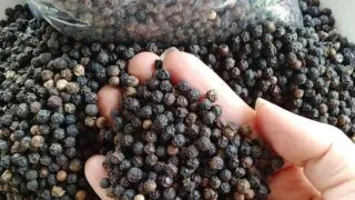 gia tieu ngay 26 03 2024