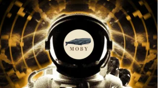moby la gi