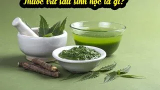 thuoc tru sau sinh hoc la gi