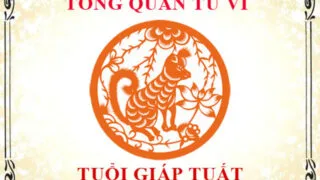 tu vi giap tuat 1994