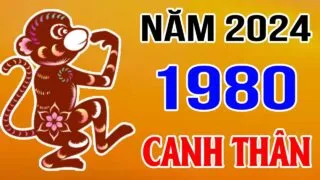 tu vi tuoi canh than 1980 nam 2024