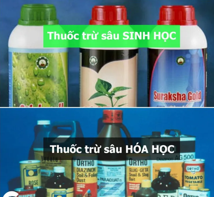 Cách sử dụng thuốc bảo vệ thực vật an toàn & hiệu quả %nam% 4 uu nhuoc diem cua thuoc tru sau sinh hoc