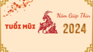 van han tuoi mui