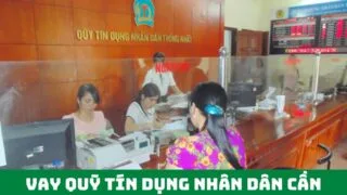 vay quy tin dung nhan dan can nhung gi