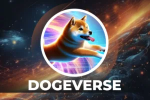 dogeverse 1