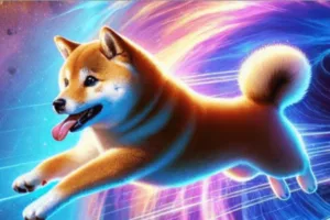 dogeverse dogeverse