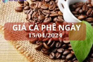 gia ca phe 15 04 2024