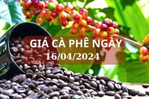 gia ca phe ngay 16 04 2024