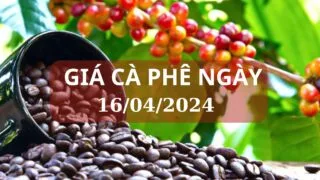 gia ca phe ngay 16 04 2024