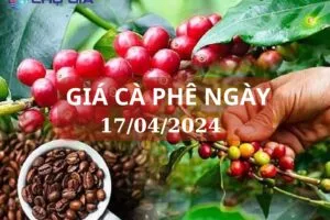 gia ca phe ngay 17 04 2024